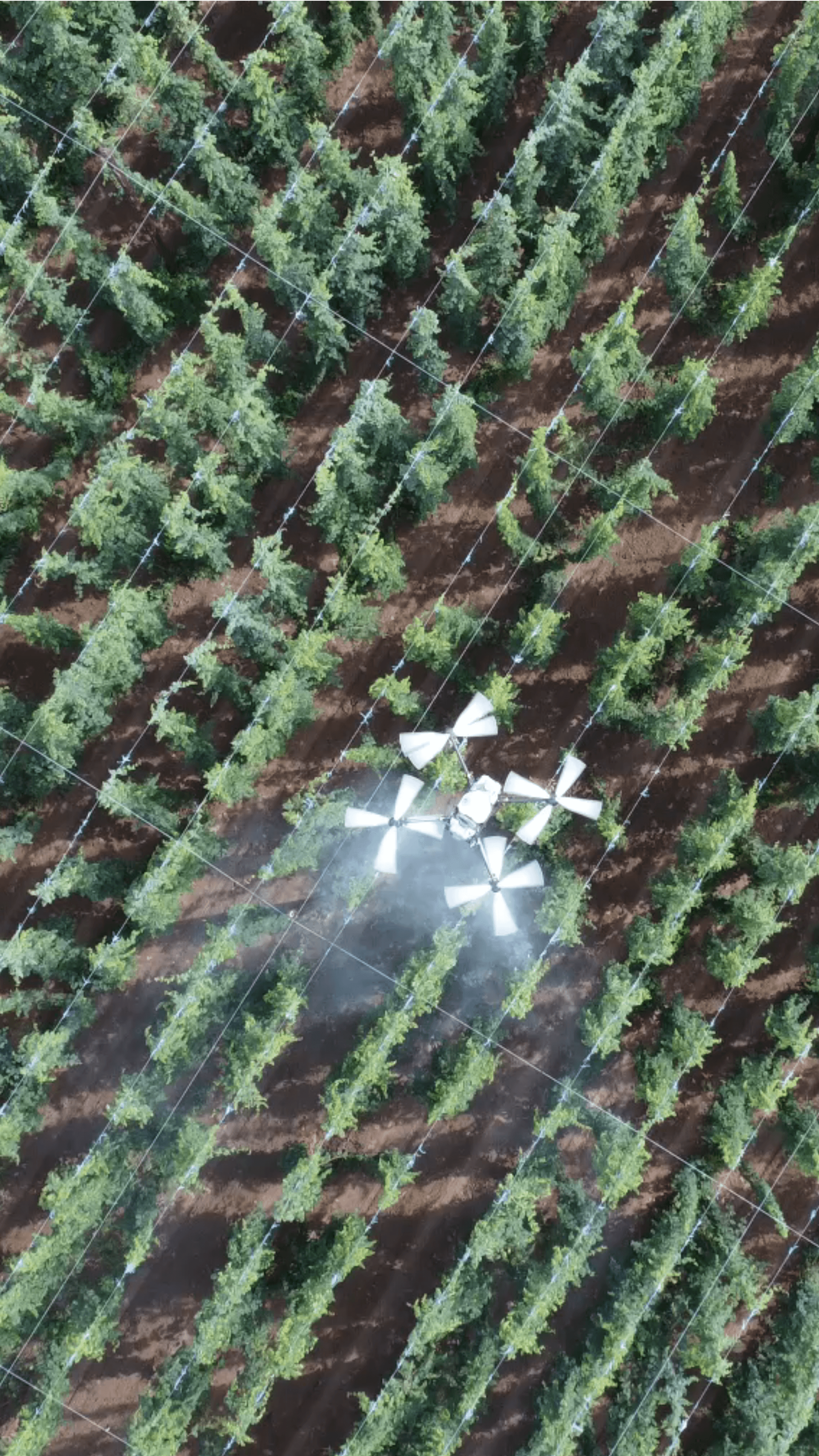 Svažitý pozemek pro rodinný dům - snímek