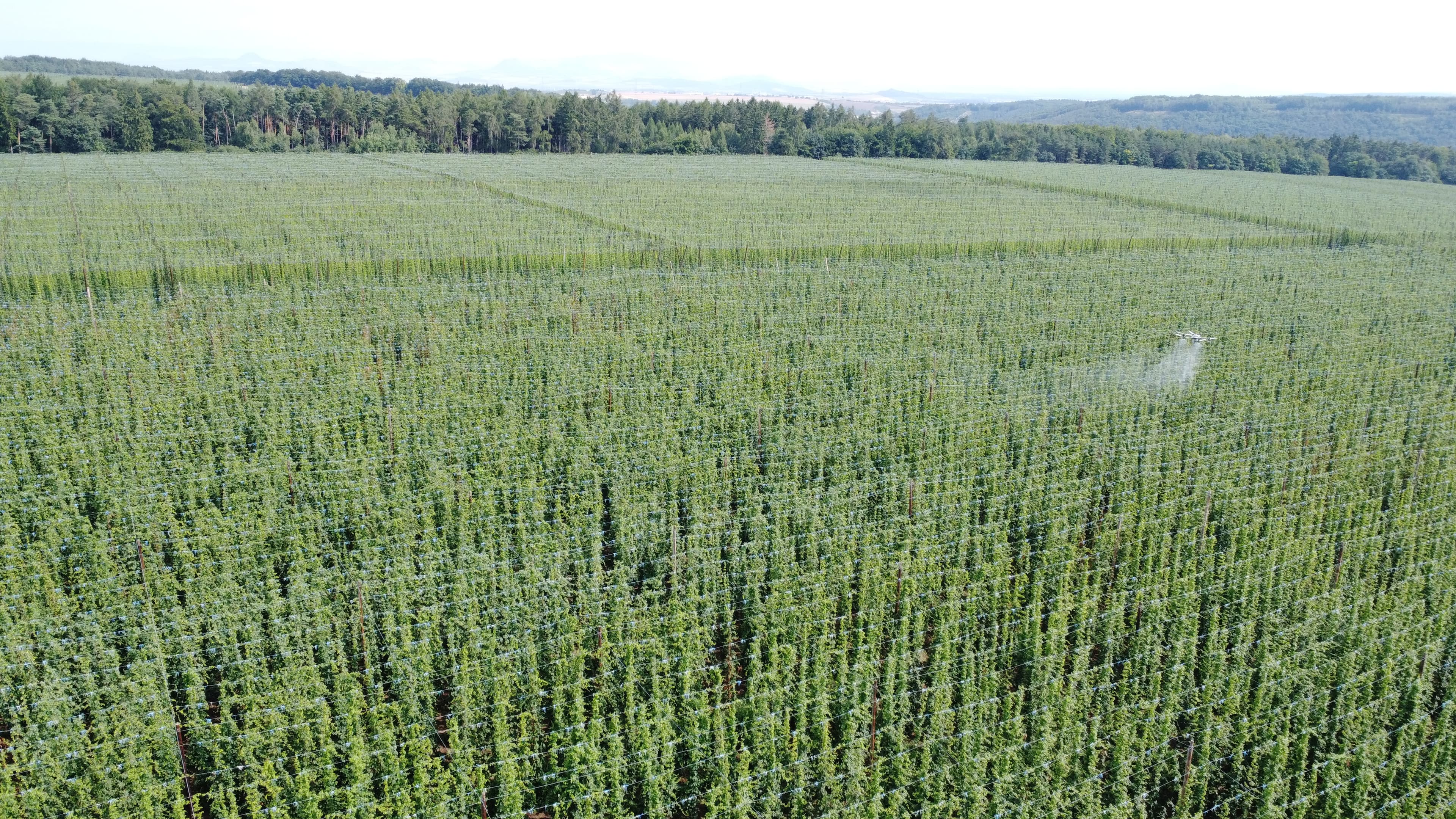 RGB letecký snímek pole